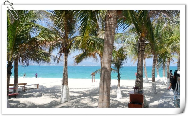 带着梦想去远行视频,带着梦想出发走过春夏秋冬