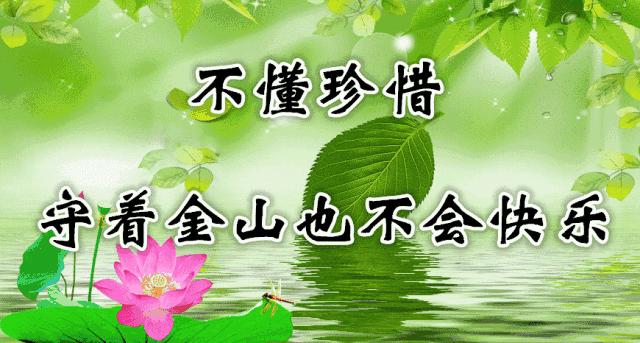 14张会动的照片,会动的照片大全大图