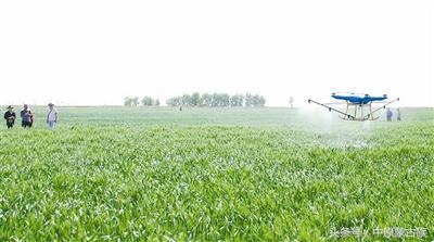 农六师芳草湖农场未来发展规划,新疆农六师芳草湖总场