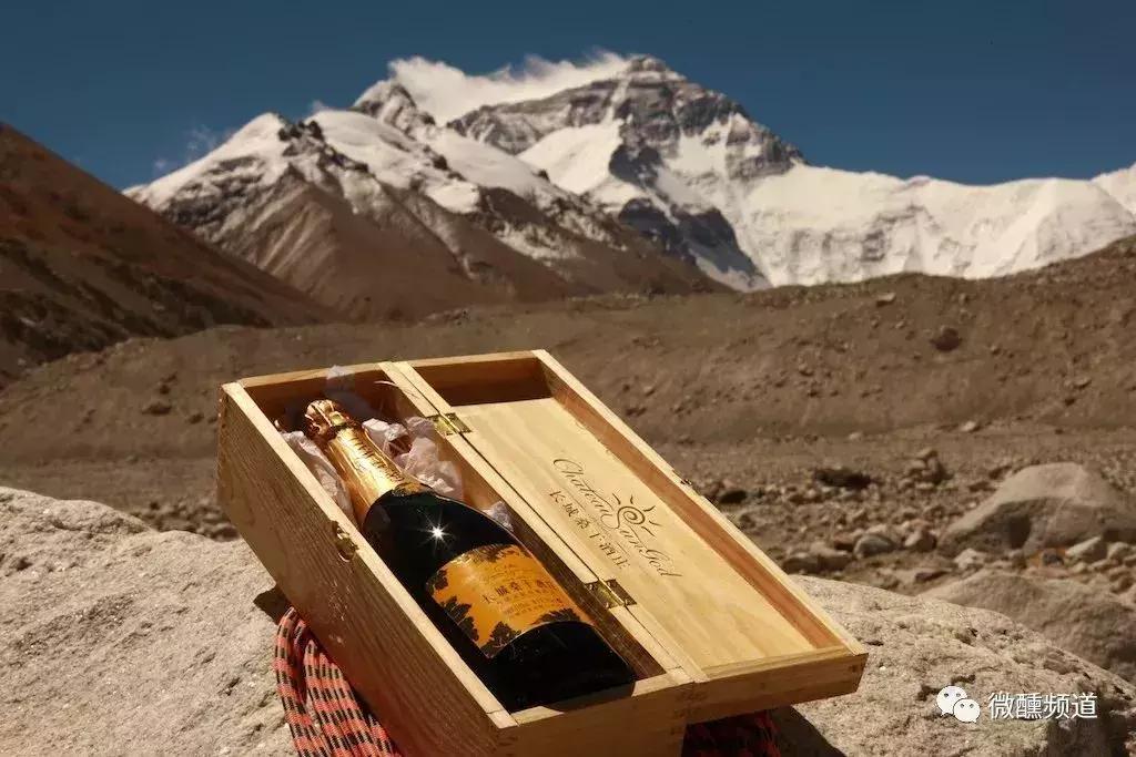 游遍世界名庄的知名葡萄酒讲师为桑干酒庄打call