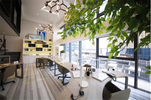 置业必看的技巧,置业必看好盘