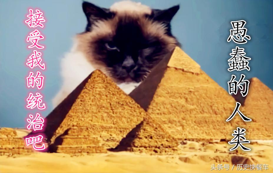 喵星人的变化史,喵星人养猫13年经验分享