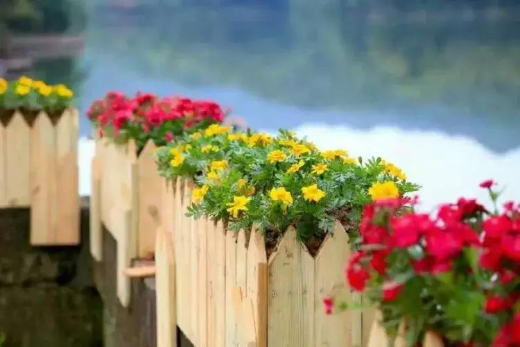 有车有房女友却要嫁穷小子，真相原来是……