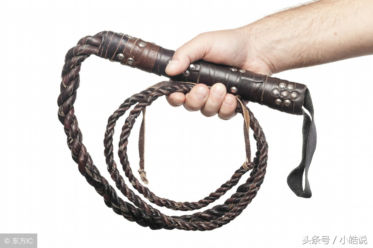 冷知识什么植物不能碰,冷知识什么植物不能闻