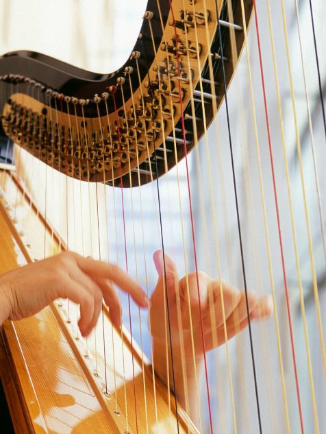 世界十大最难学的乐器,世界上公认十大最难学的乐器