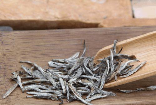 白毫银针提取物用于香奈儿,香奈儿十号乳液白茶