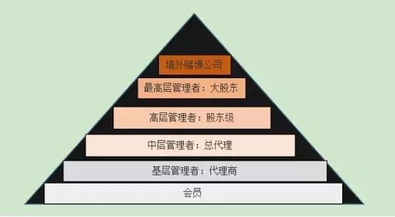 一线传真视频大全,一线传真视频完整版