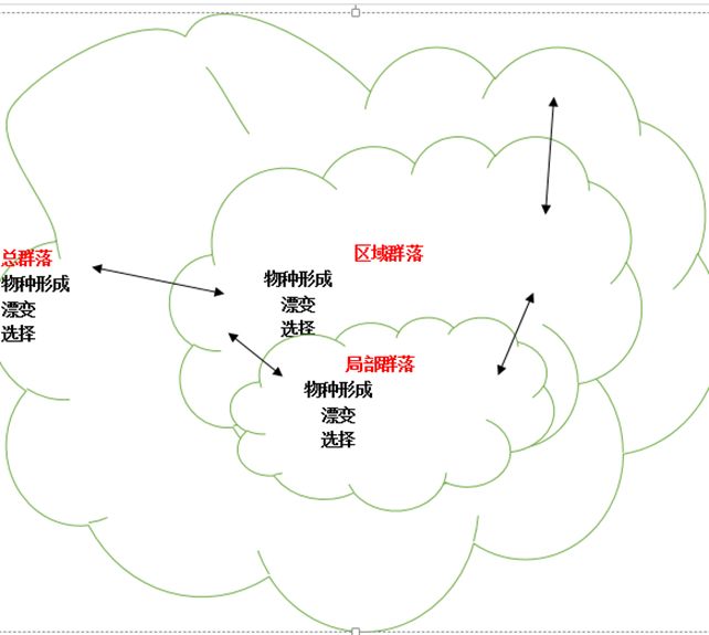 益生菌再认识，它是如何调节小儿免疫的？