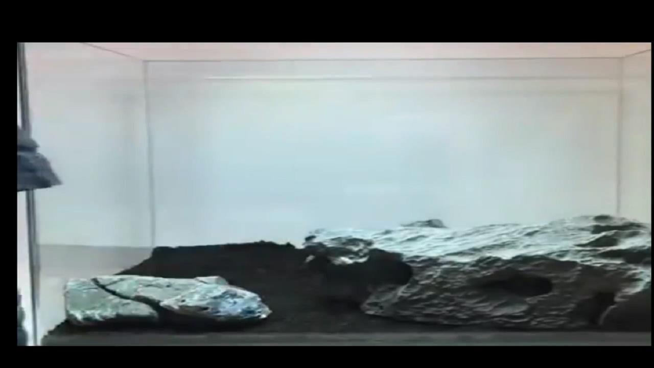 40*40原生莫斯草缸造景作品,鱼缸造景效果图草缸怎么才能通透