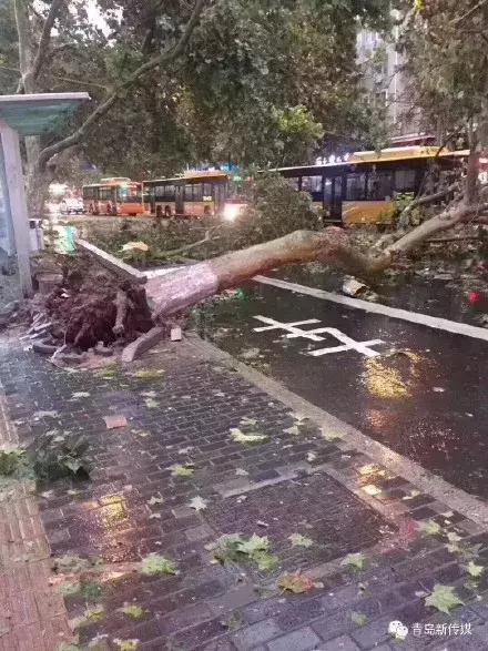 青岛能下海玩吗,青岛下海玩水哪里好