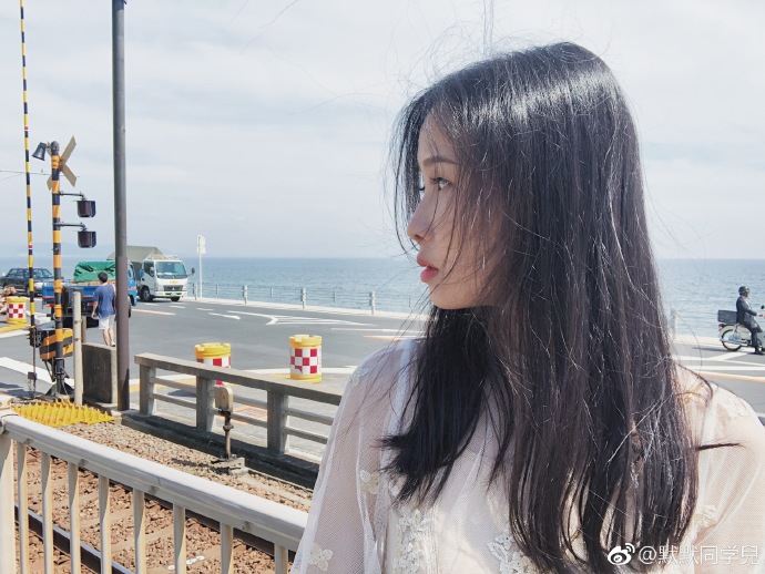 世界杯手机品牌排名,世界杯中国手机巨头是谁