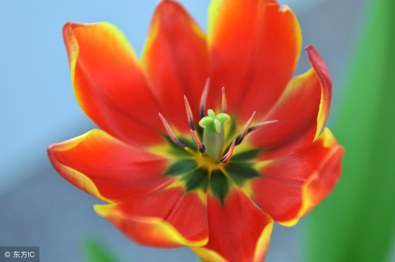 生活小常识收藏,各种实用的生活小常识