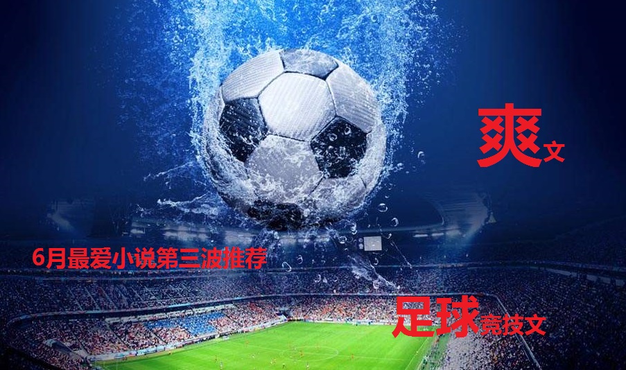 小说推荐六月完结,每日推文小说足球爽文