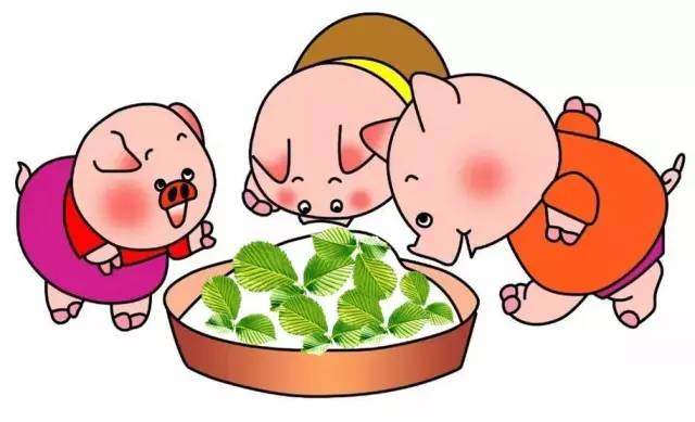 猪的优点和美德,猪的优点有哪些方面