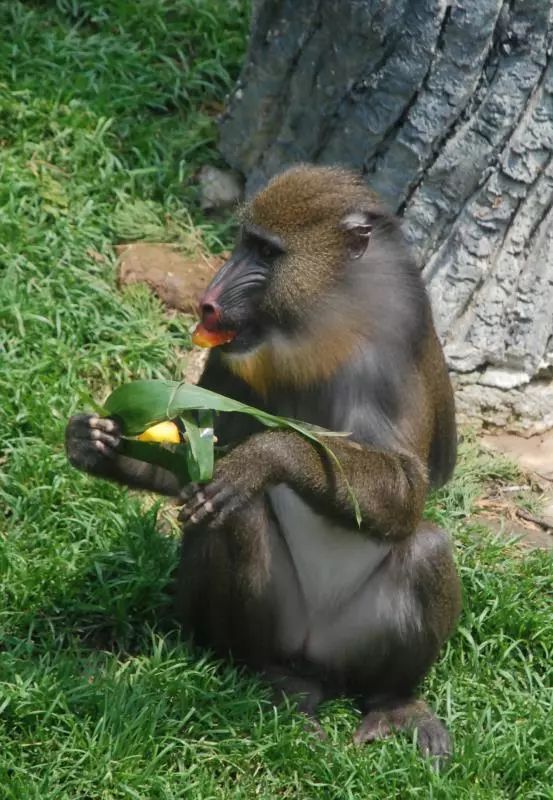 不用计划了！大连人的这个端午，看着这条微信过就行！