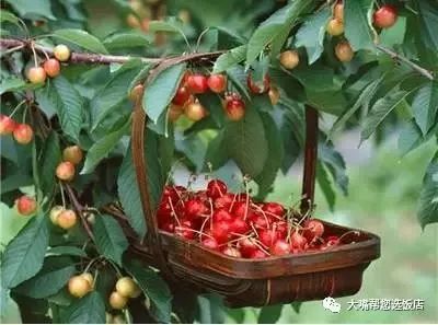 大连自驾游的游记,大连近郊游自驾推荐