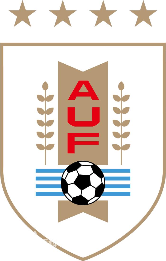 世界杯埃及0:1乌拉圭,球迷险些跳楼,幸好乌拉圭在89分钟进球!