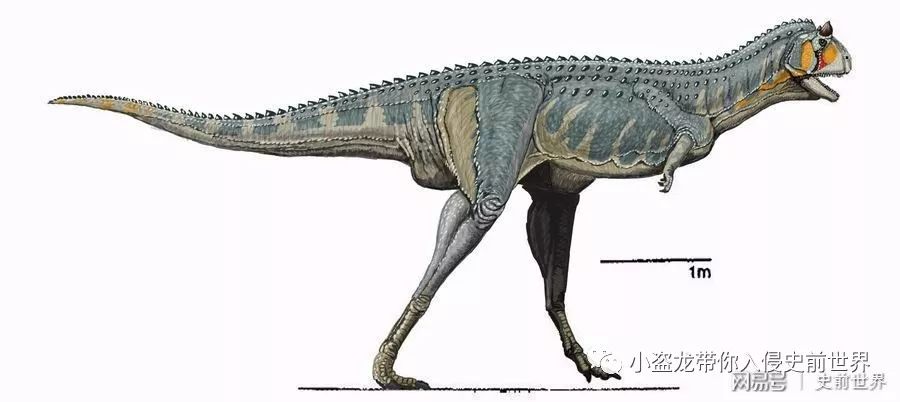侏罗纪世界2一口气看完解说,《侏罗纪世界2》所有恐龙的名字