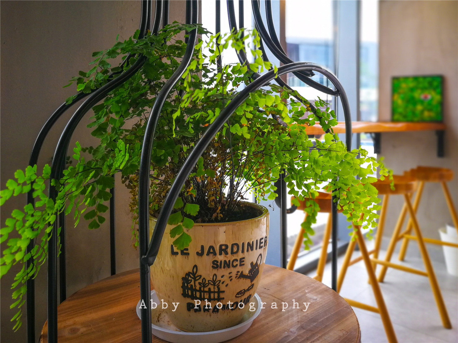 无锡这座美丽城市,无锡这个城市有名吗