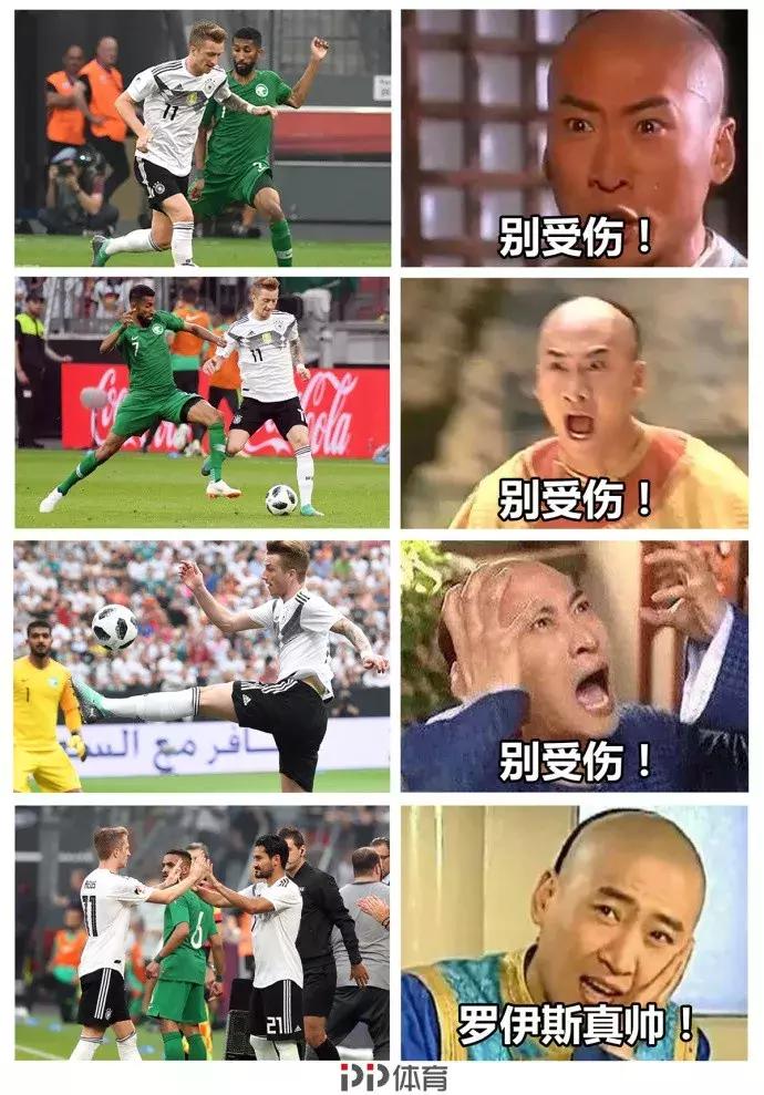 世界杯肉肉的仙人球,世界杯金肉肉