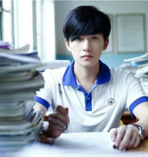 苏有朋左耳金马奖,左耳入围金马奖