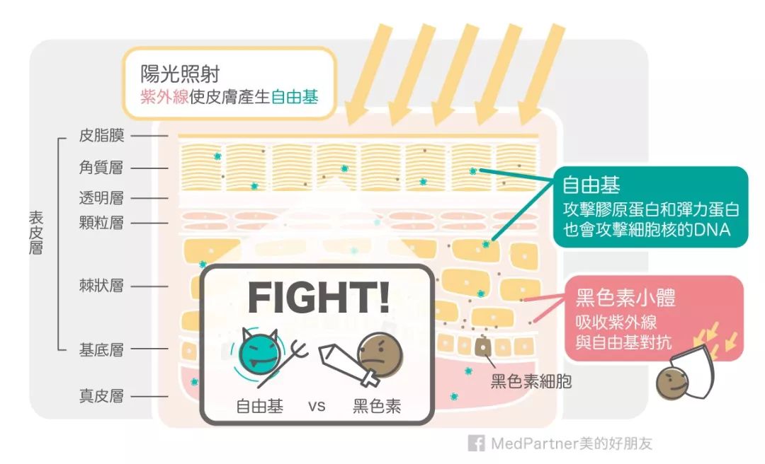 三款必买的水乳精华,水乳精华哪些比较好用