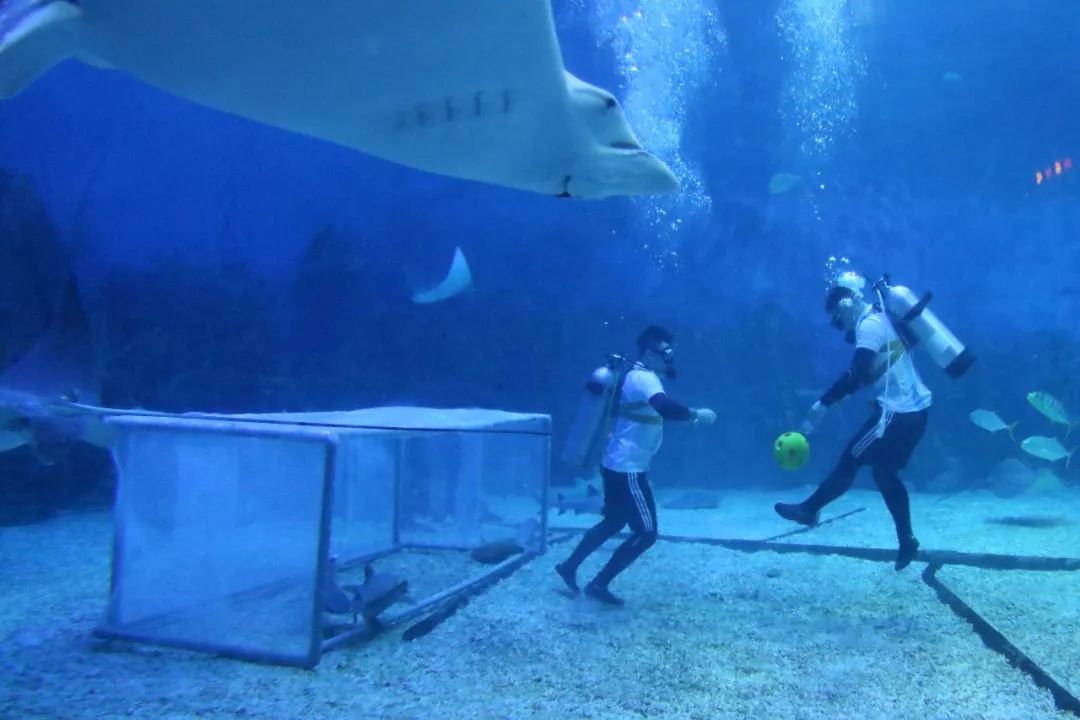 海底足球大赛,青岛海底世界杯