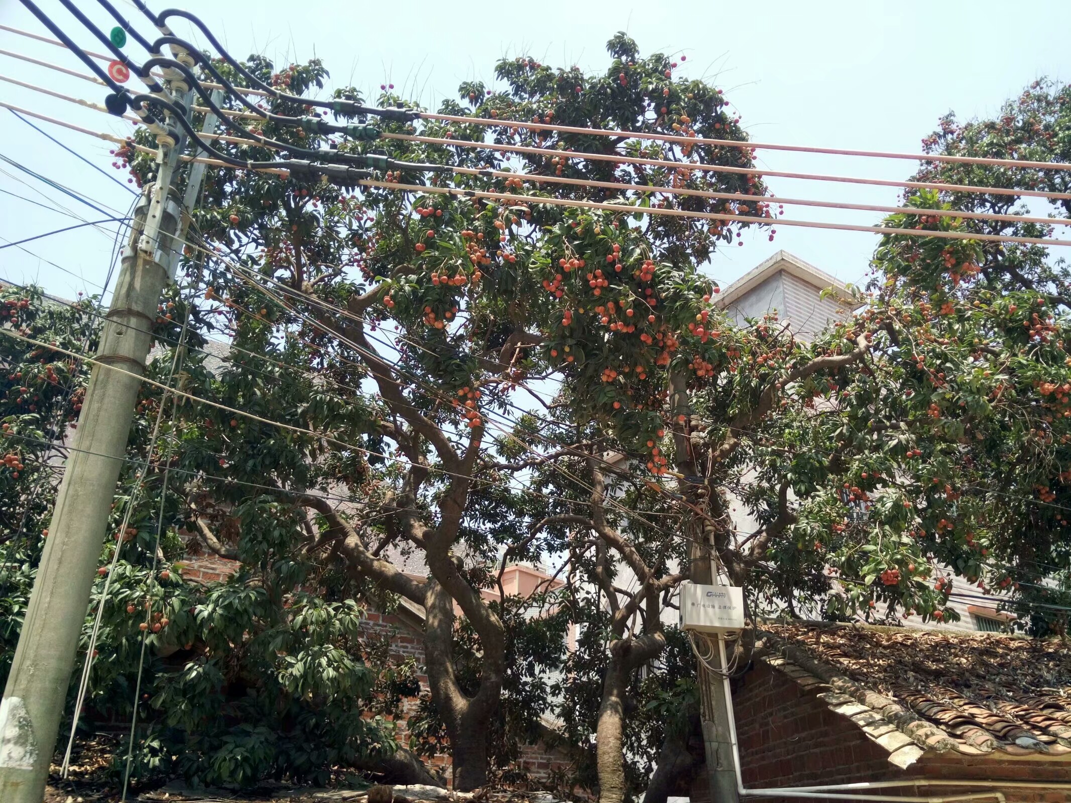 大朗毛织厂有招工的嘛,广东东莞大朗毛织厂最新招聘信息