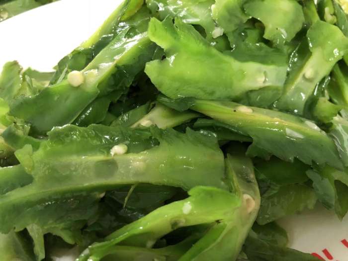 旅行结婚,结婚旅行适合去哪