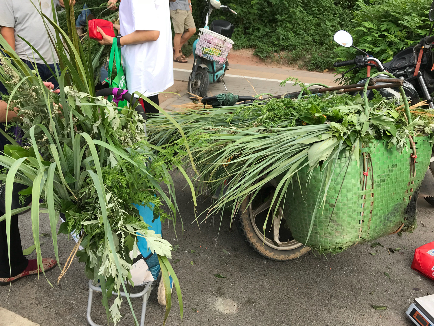 端午节，别忘了洗草药祛病避邪