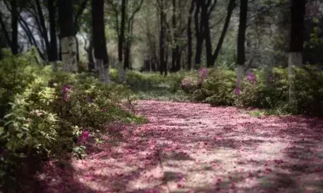 云南最好的大学是哪个大学,云南最好农校