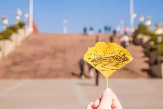 云南最好的大学是哪个大学,云南最好农校