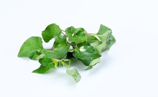 家中摆一盆，大病小病全走光！赶紧收藏！