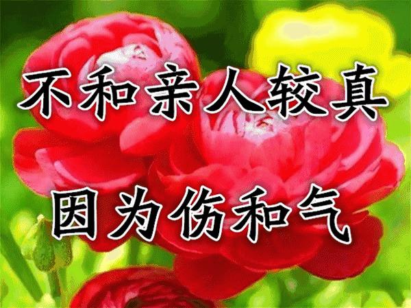 难忘老同学相聚,难忘同窗情诗词祝福语