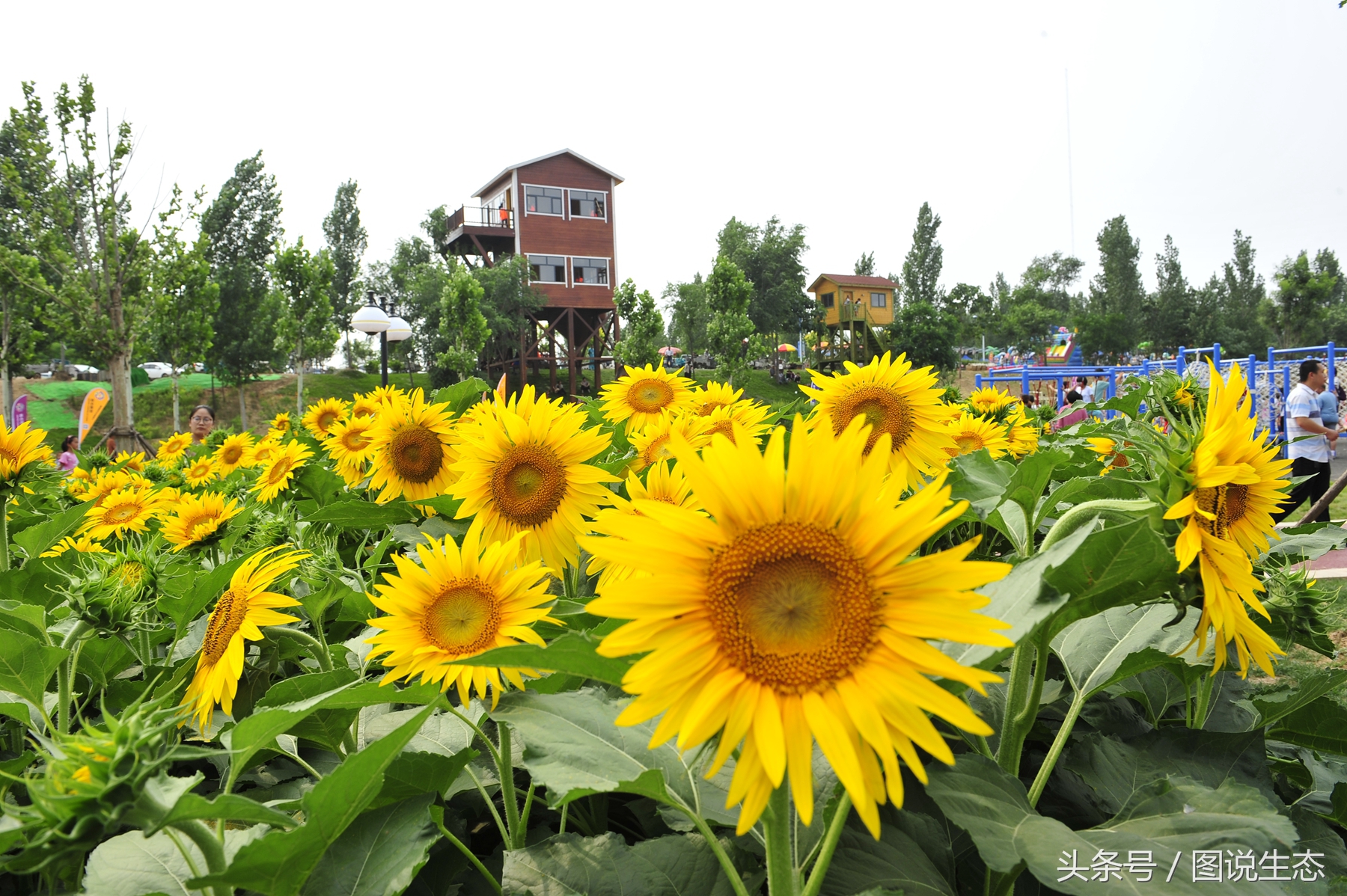 父亲节这天过得真快乐,父亲节的一天视频