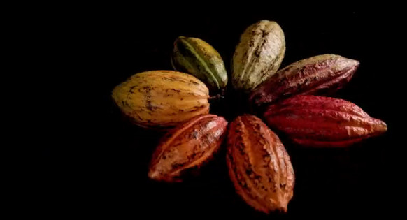 中国顶级美食纪录片,中国顶尖美食纪录片