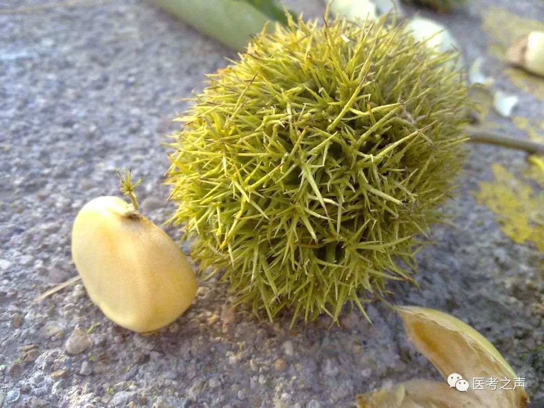 执医技能：X线阅片，全是套路，超简单