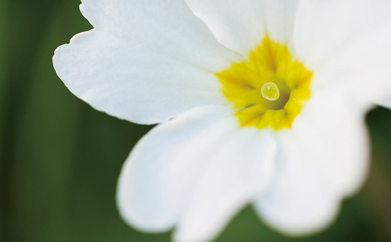 相机白平衡如何理解,通俗讲解白平衡
