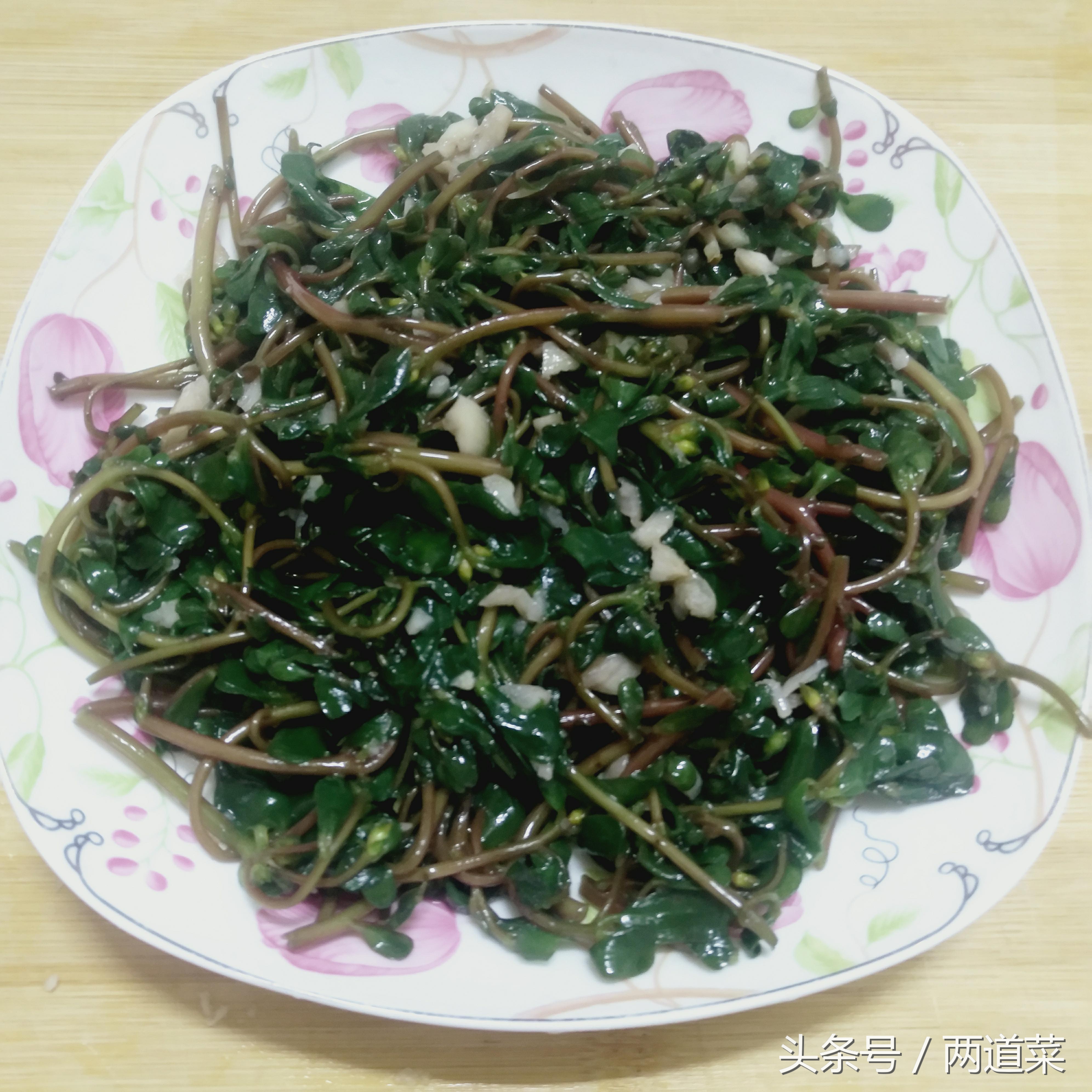 干马齿菜的家常做法大全集,马齿菜怎么做好吃又简单