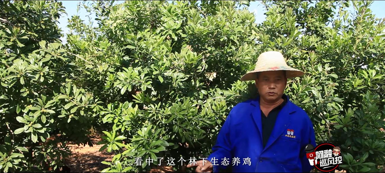 中业兴融助力生态养殖户奔向小康之路