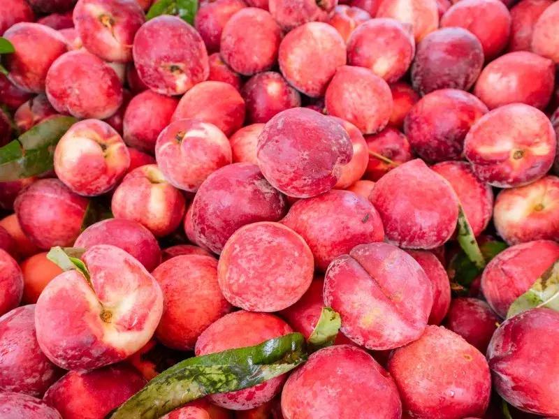 水蜜桃8块一斤,西瓜桃子8元