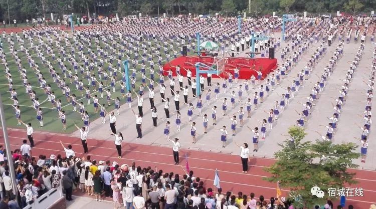 孩子去哪上学读书最好,小孩怎么去泗洪上学