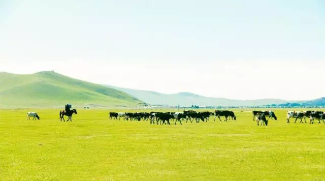 呼伦贝尔大草原一生的向往,呼伦贝尔一年四季都是美景