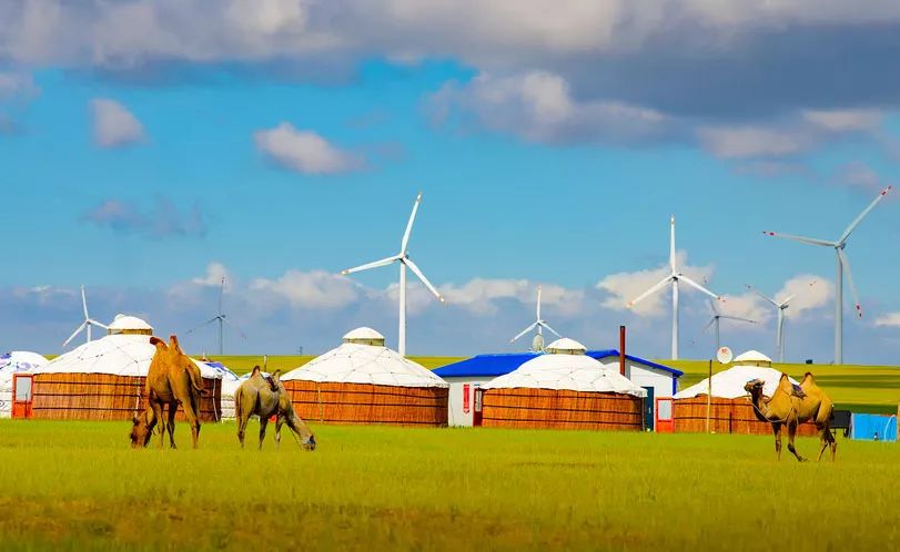 呼伦贝尔大草原一生的向往,呼伦贝尔一年四季都是美景