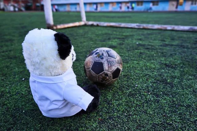 在中医诊所要做什么,在北中医读研的体验