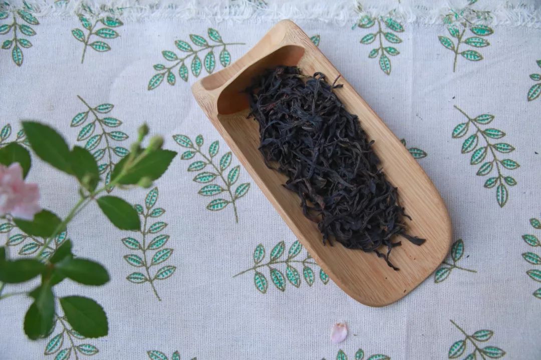 凤凰单丛茶水仙,凤凰单枞与凤凰单丛是两种茶吗