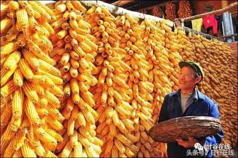 甘谷话方言图片,甘谷方言一二三四