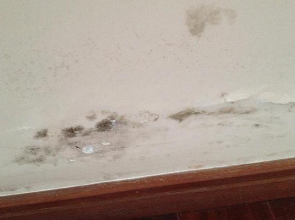 卫生间外墙刷防水能防止烂墙根吗,卫生间渗水外墙发霉怎么处理