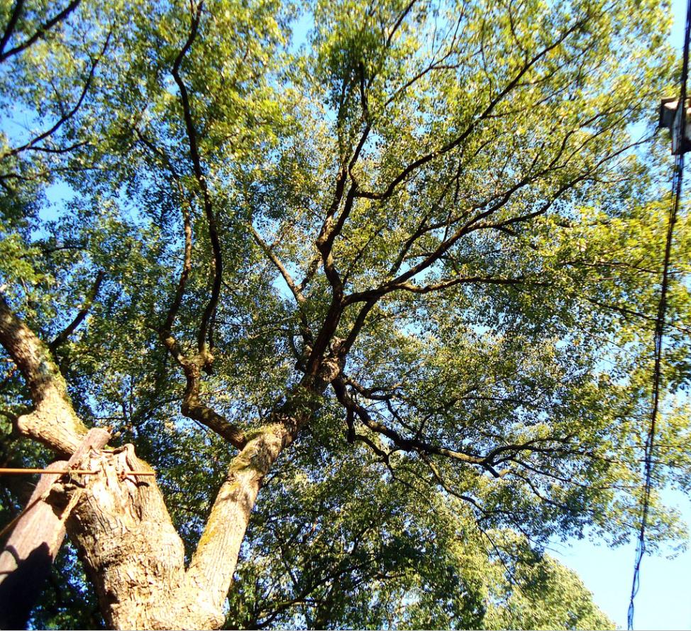 新安江畔的这个古镇，一处隐藏于山水之间的世外桃源