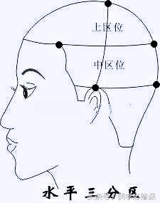 最简单易懂长碎发修剪,中层次碎发分区修剪教程
